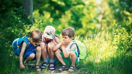 Children bending down and looking at the ground