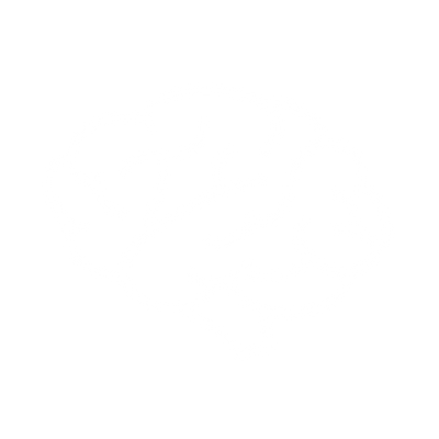 Outline of a brain