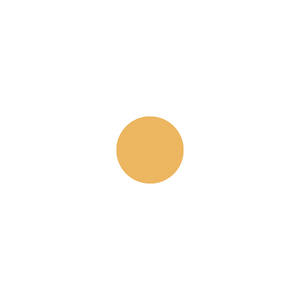 Outline of a daisy flower