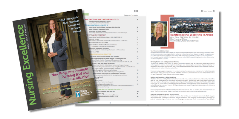 2025 Nursing Excellence Report front cover and inside cover